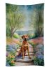 Rhodesian Ridgeback Spring Path Kitchen Towel Dish Cloths Guest Hand Towel Decorative Bathroom Towel for Face,Tea, Dishcloth, Kitchen and Bath