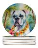 White Boxer Luau Large Sandstone Coasters Pack of 4 Absorbent Round Coasters Decor Gifts for Men or Women, 4 in, Multicolor